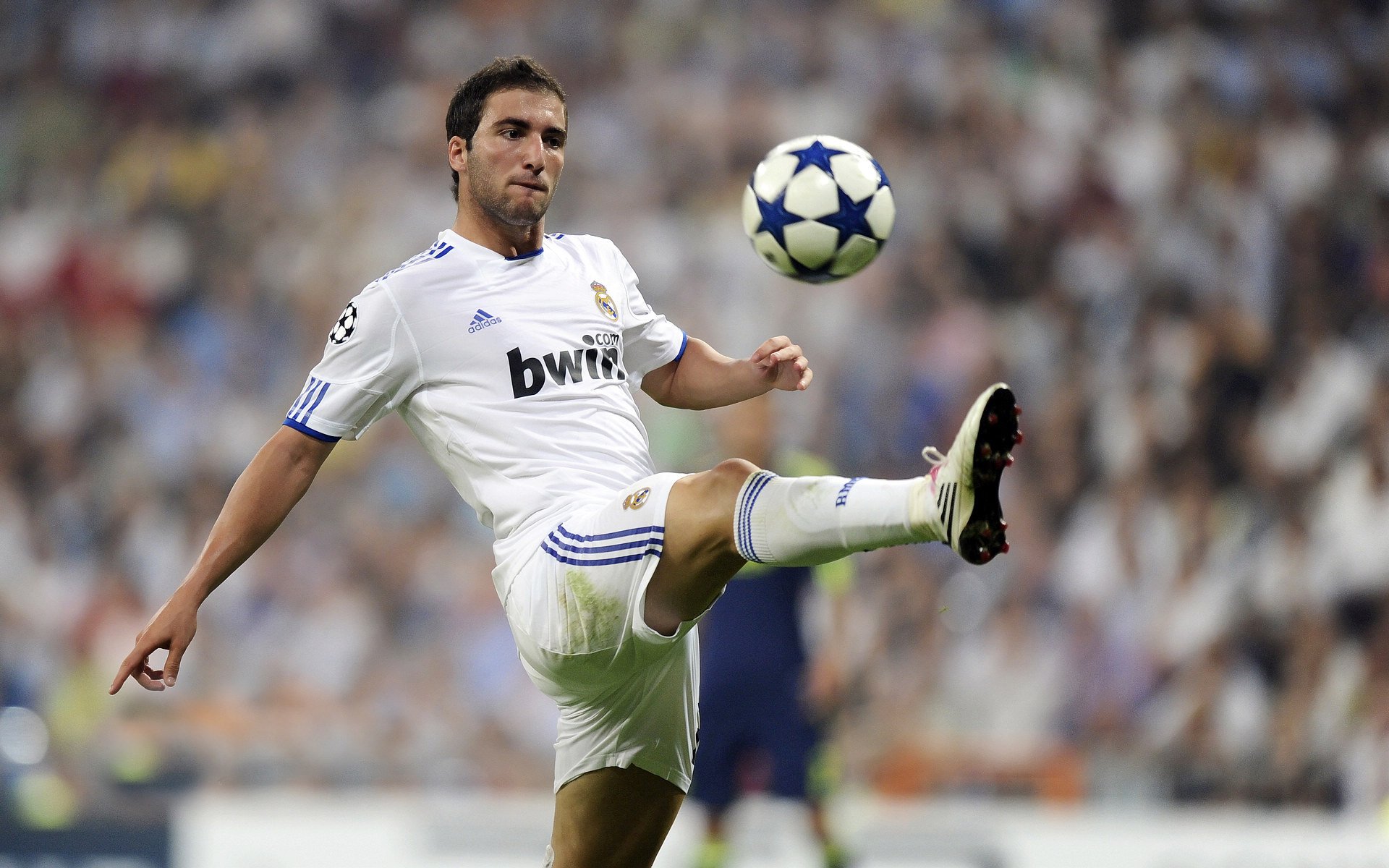 霍勒迪之夜，当F1引擎轰鸣遇上篮球绝杀，我们为何热泪盈眶